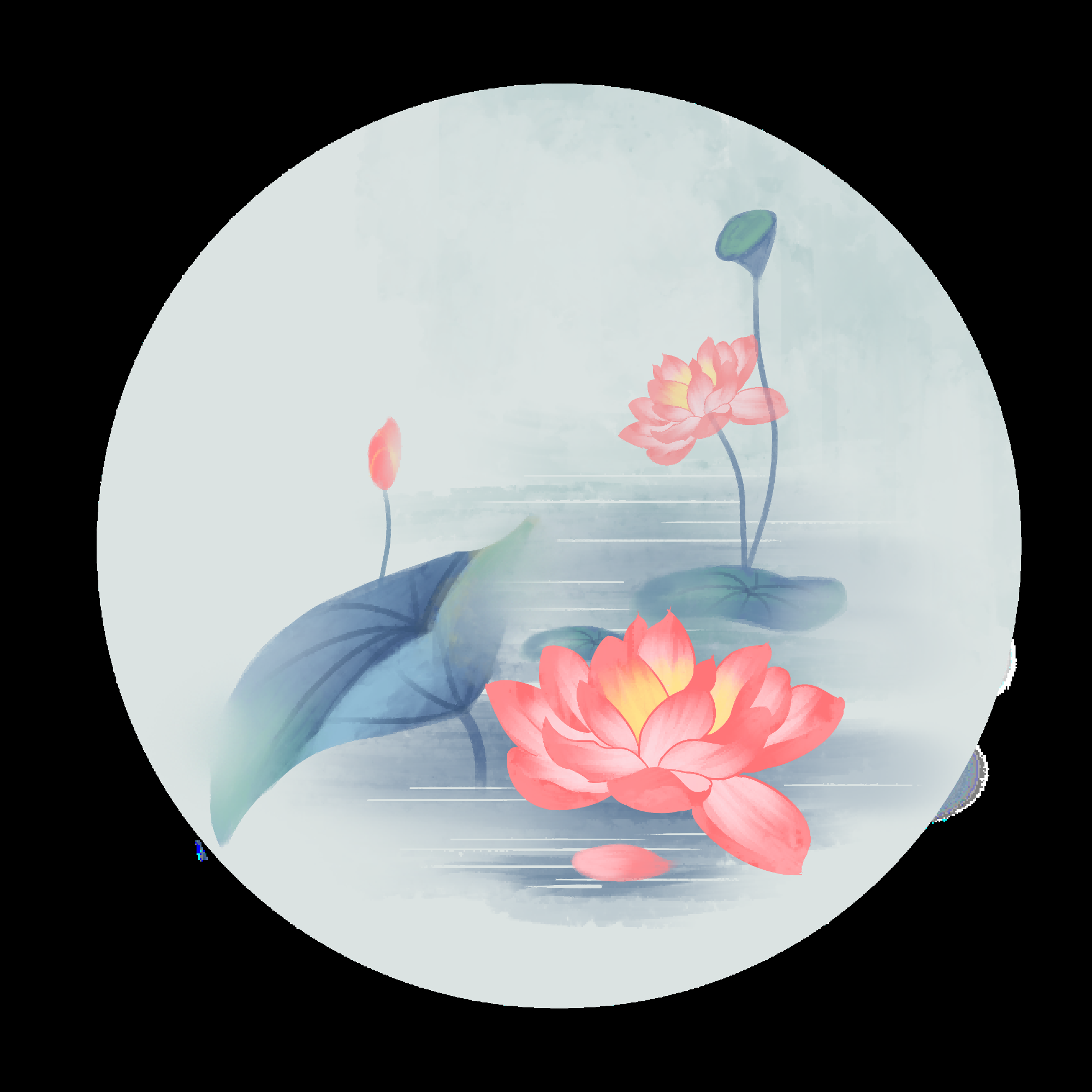 荷叶荷花素材插画装饰元素透明背景免抠素材36