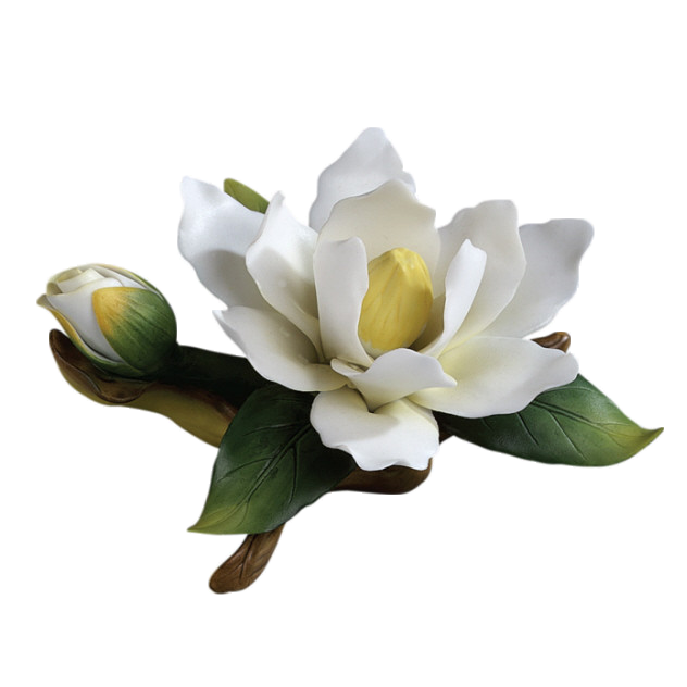 山茶花图片装饰图案插画素材14
