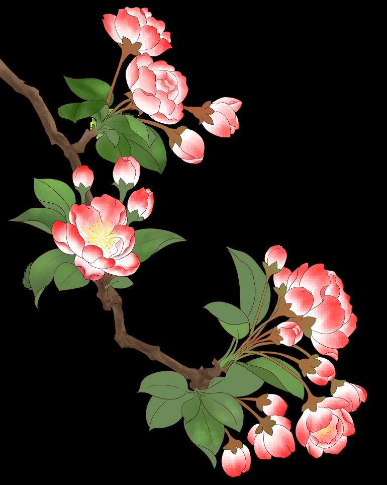 海棠花免抠元素装饰图案插画23