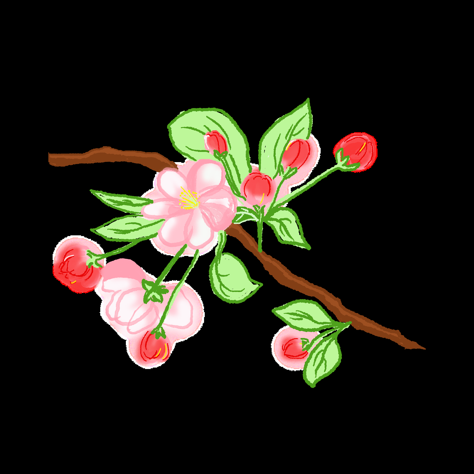 海棠花免抠元素装饰图案插画2