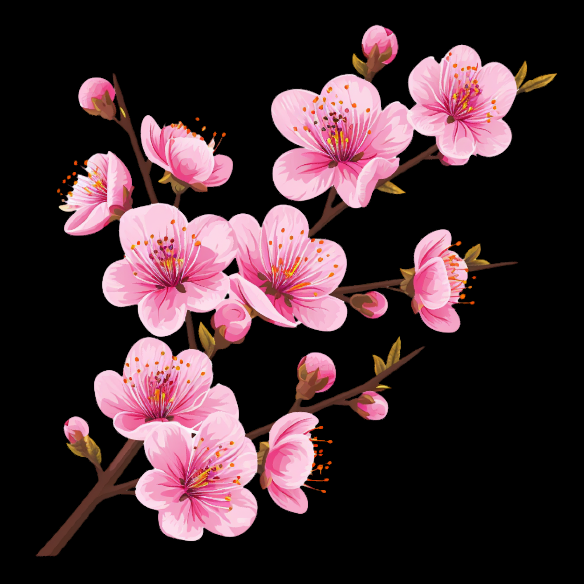 桃花素材图中国风海报设计桃树花枝透明背景80