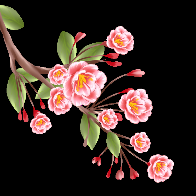 海棠花免抠元素装饰图案插画22