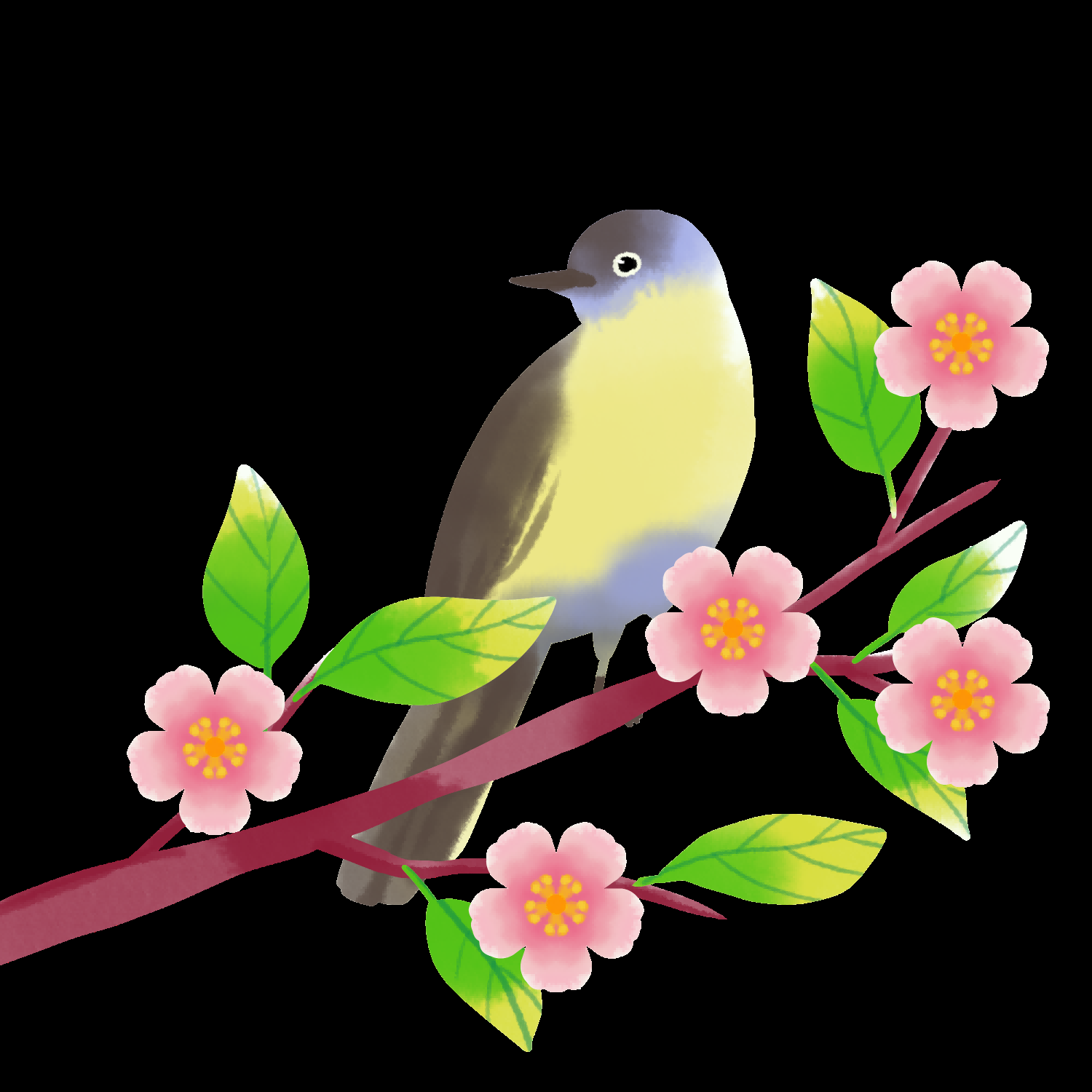 水彩手绘小鸟树枝花枝上的小鸟插画素材免抠18