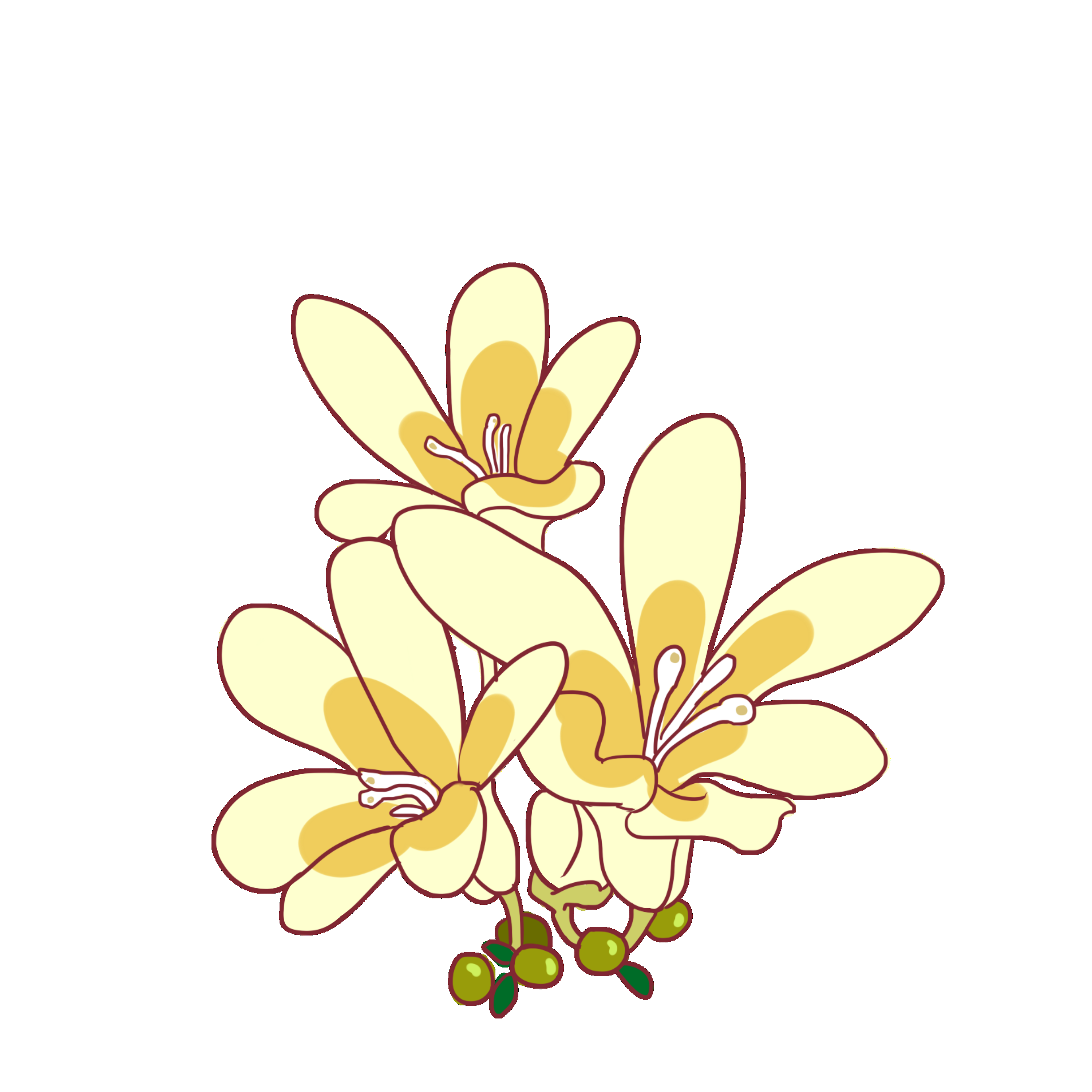 卡通手绘桂花花枝图案素材元素37