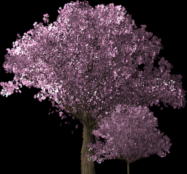 唯美樱花花树花枝樱花飘落图片装饰插图免抠14