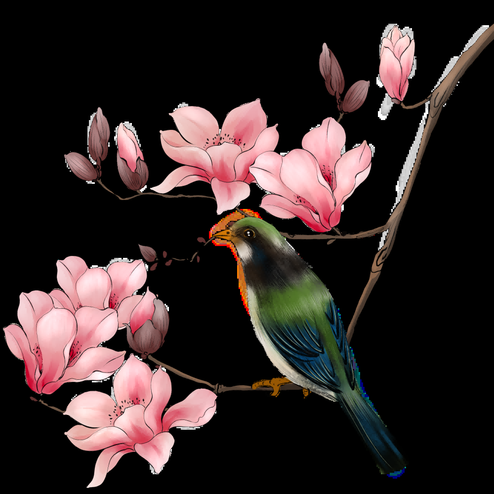 水彩手绘小鸟树枝花枝上的小鸟插画素材免抠40