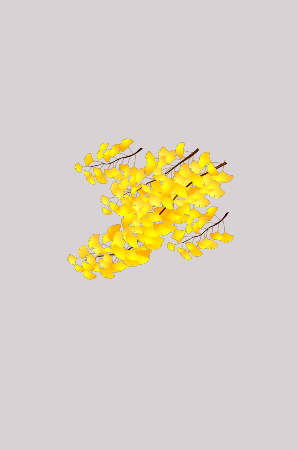 银杏叶树枝插画装饰元素免抠素材8