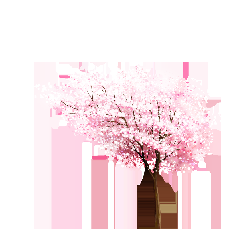 唯美樱花花树花枝樱花飘落图片装饰插图免抠28