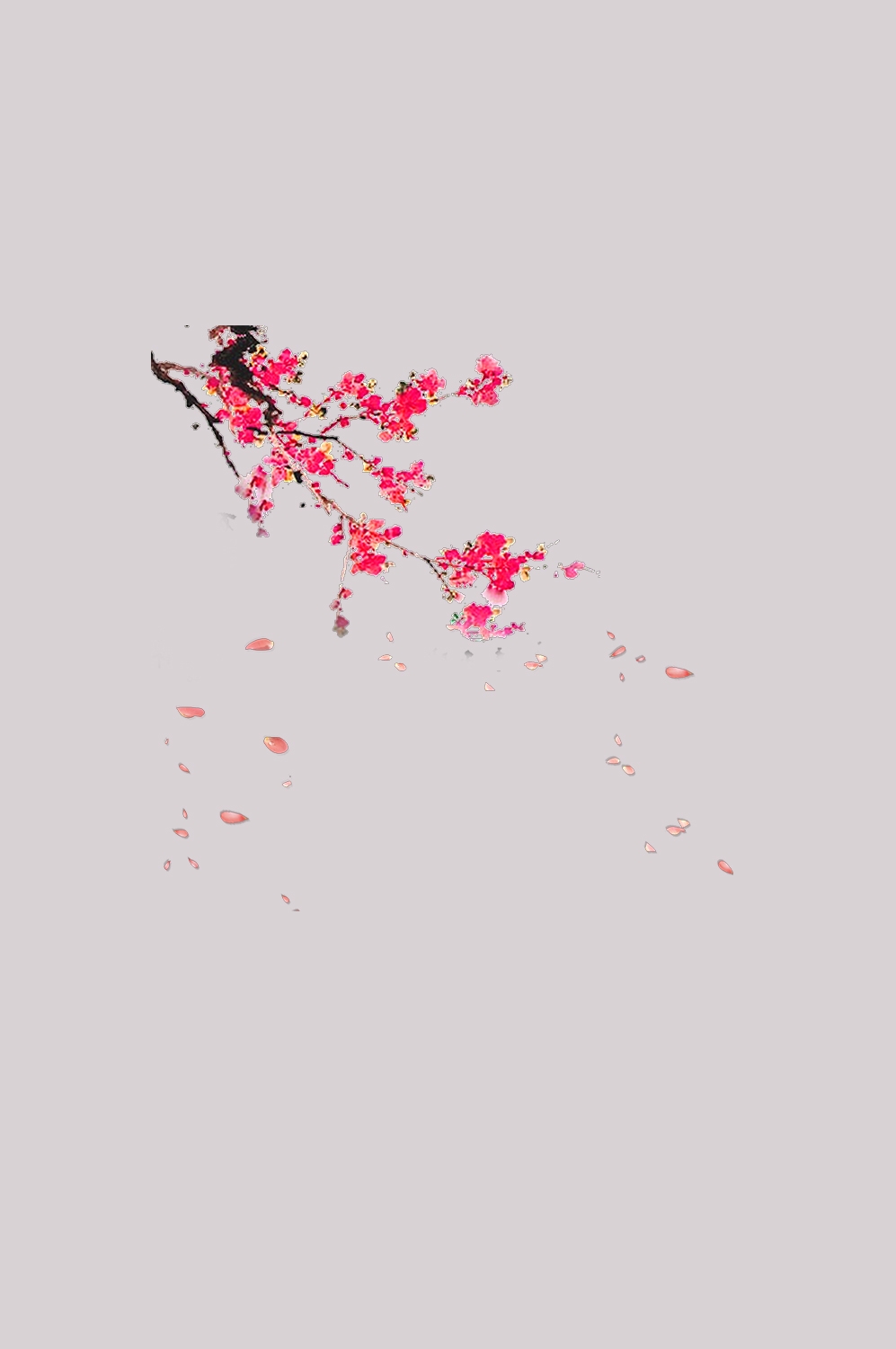 桃花素材图中国风海报设计桃树花枝透明背景83