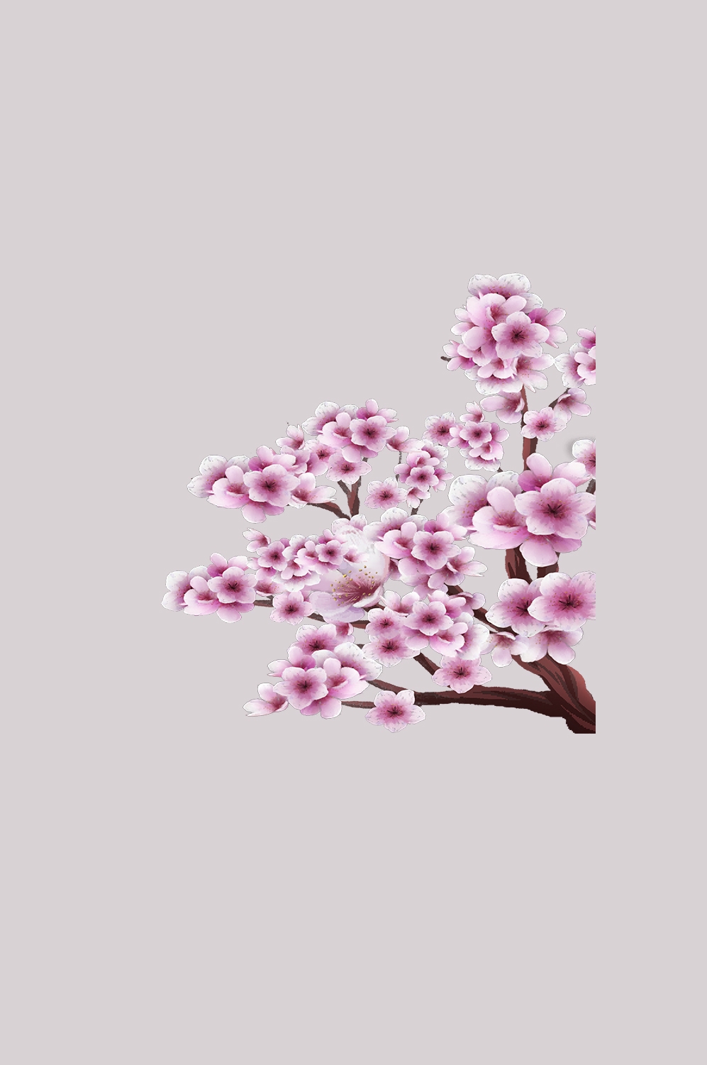 桃花素材图中国风海报设计桃树花枝透明背景33