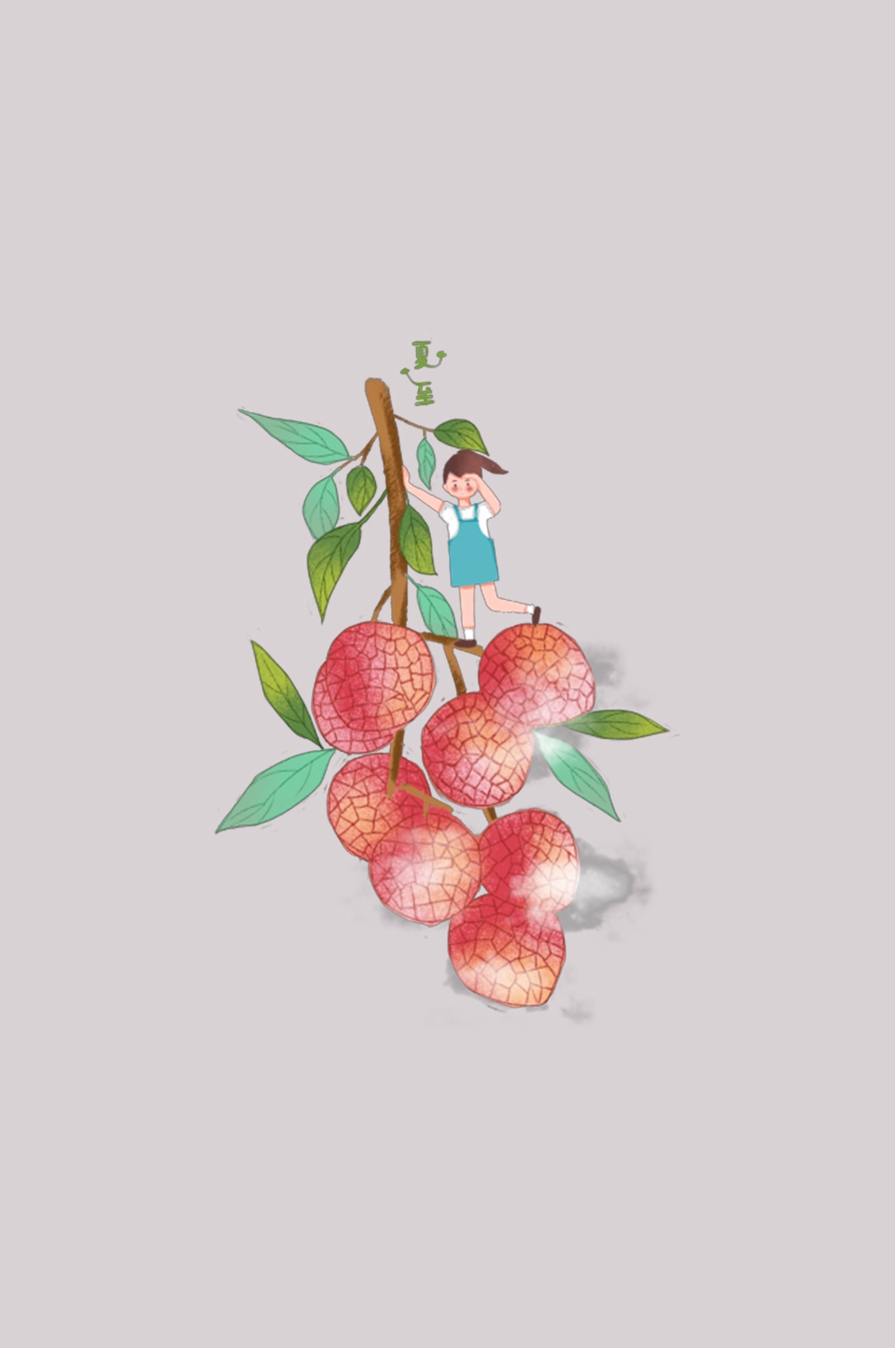 手绘荔枝图片素材装饰元素插画 png透明背景 (67)