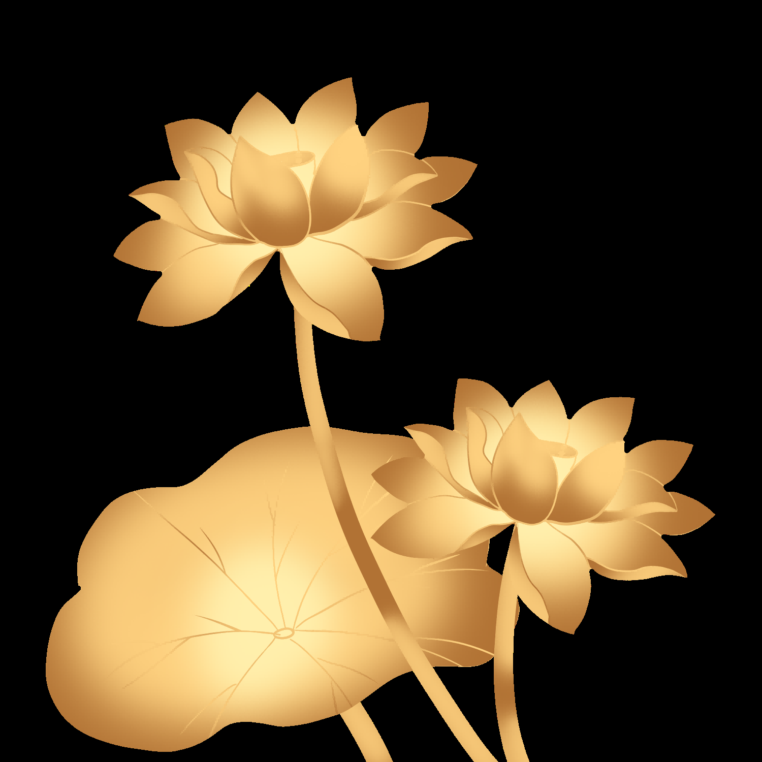 金色莲花装饰元素免抠素材26