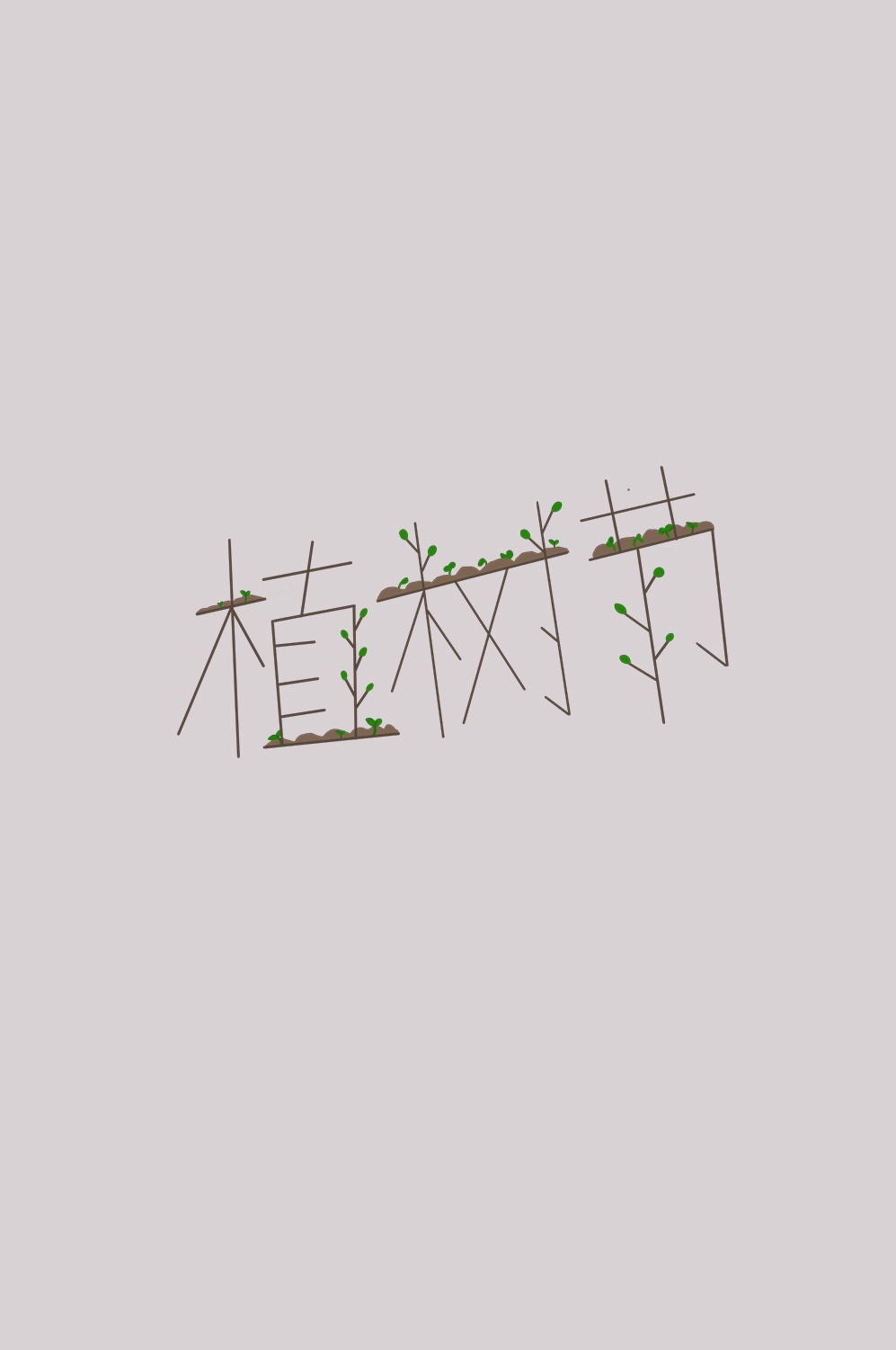 312植树节艺术字图片元素插图透明背景免抠图47
