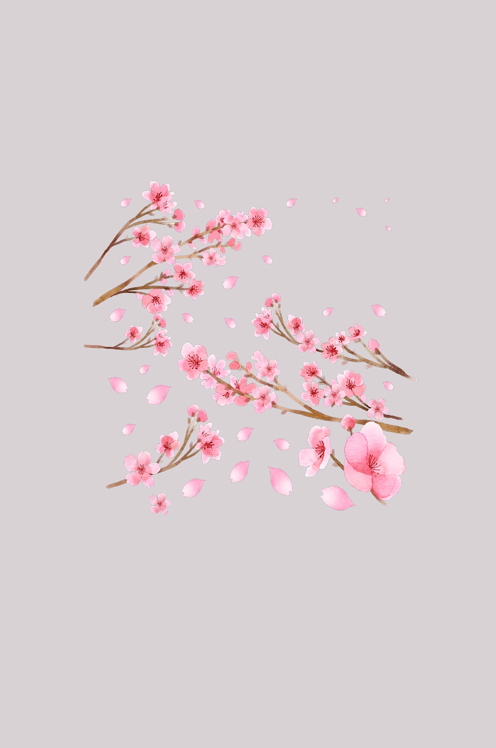 桃花素材图中国风海报设计桃树花枝透明背景62