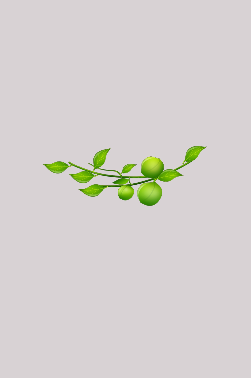 卡通手绘水果青梅图案素材图片装饰插画免抠27