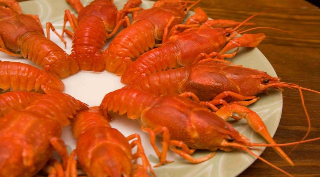 餐饮美食海报模板麻辣小龙虾香辣虾促销宣传广告素材 (68)