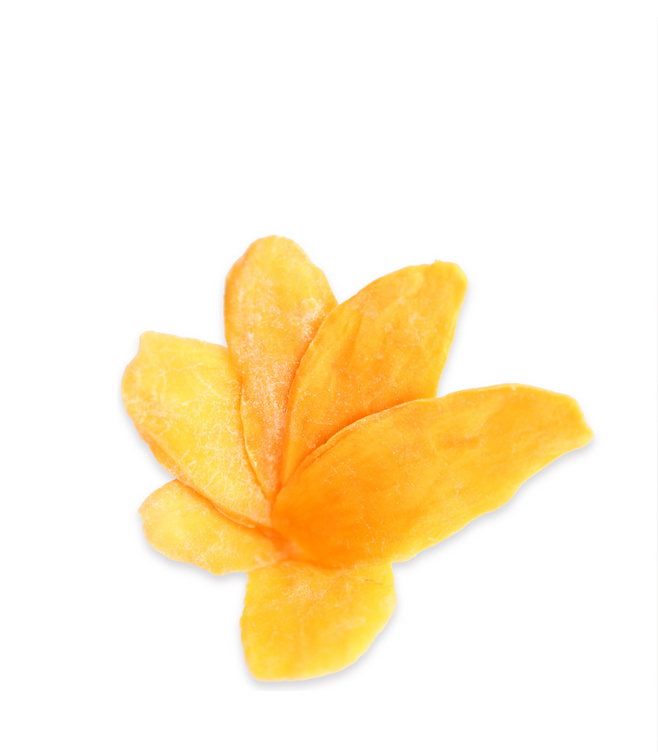芒果干免抠元素16