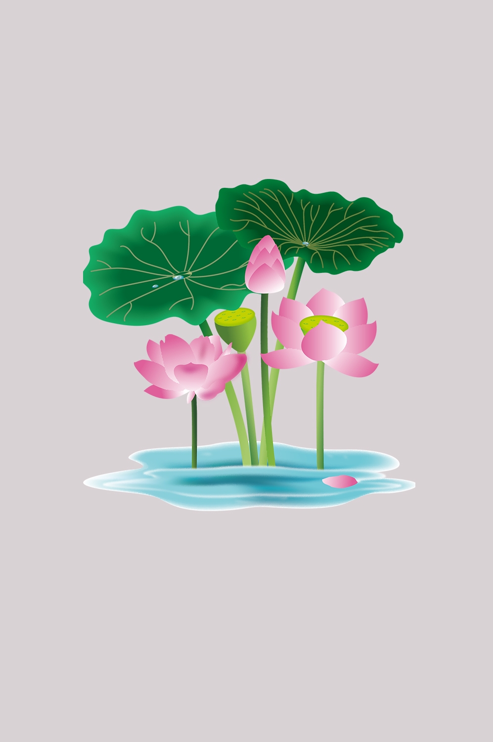 荷叶荷花素材插画装饰元素透明背景免抠素材21