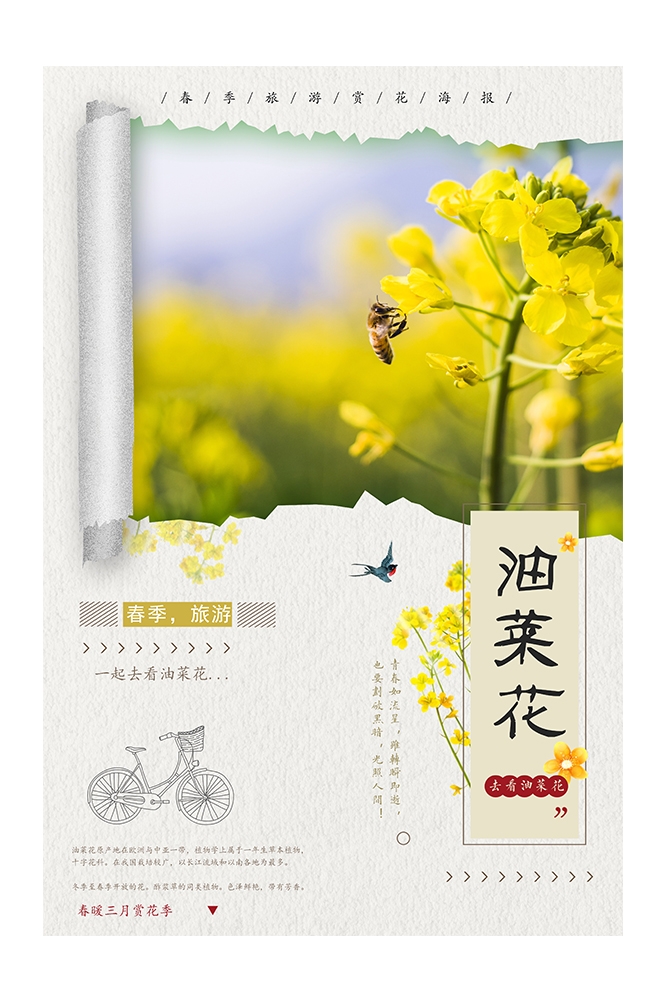 旅游观光PSD海报模板油菜花农田菜地促销宣传单展板 (1)