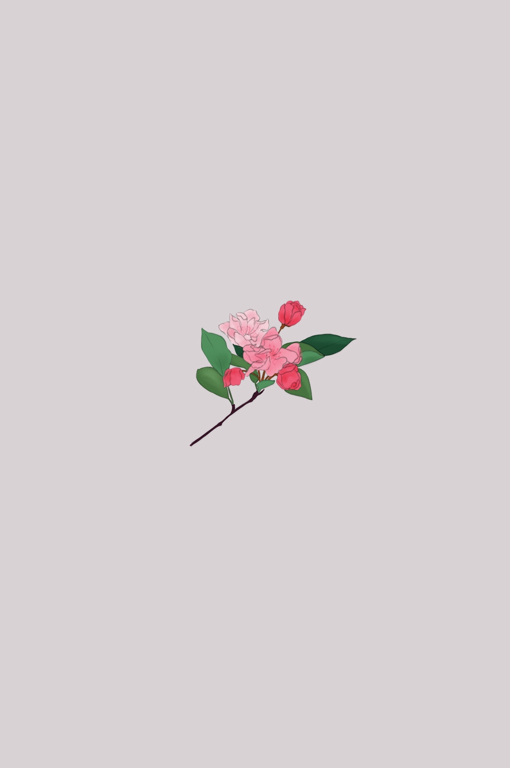 海棠花免抠元素装饰图案插画20