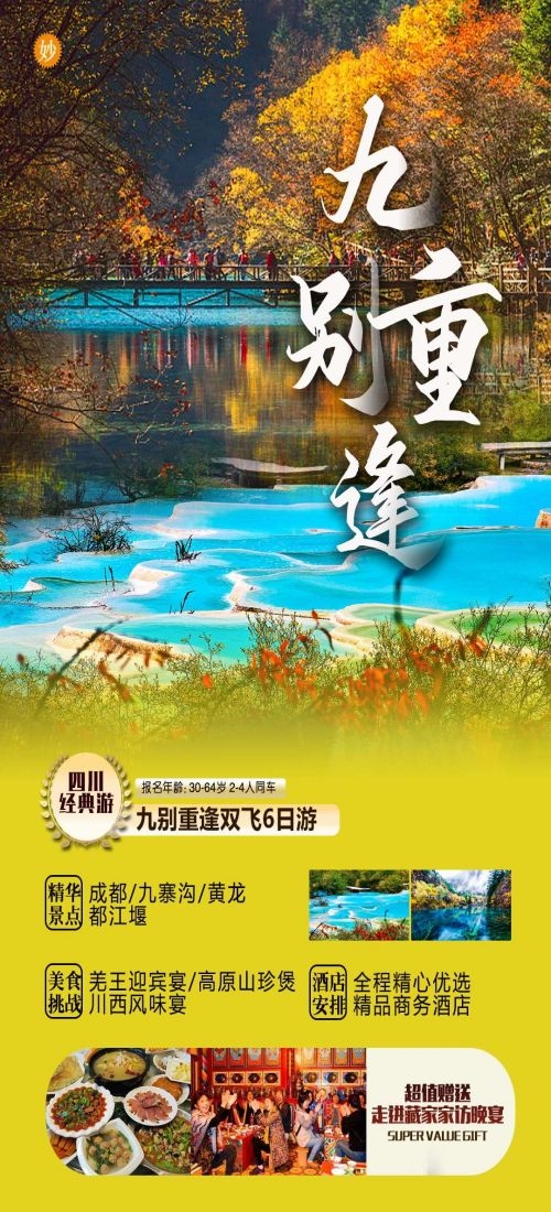 四川成都九寨沟武隆峨眉山都江堰三星堆大熊猫旅游海报30