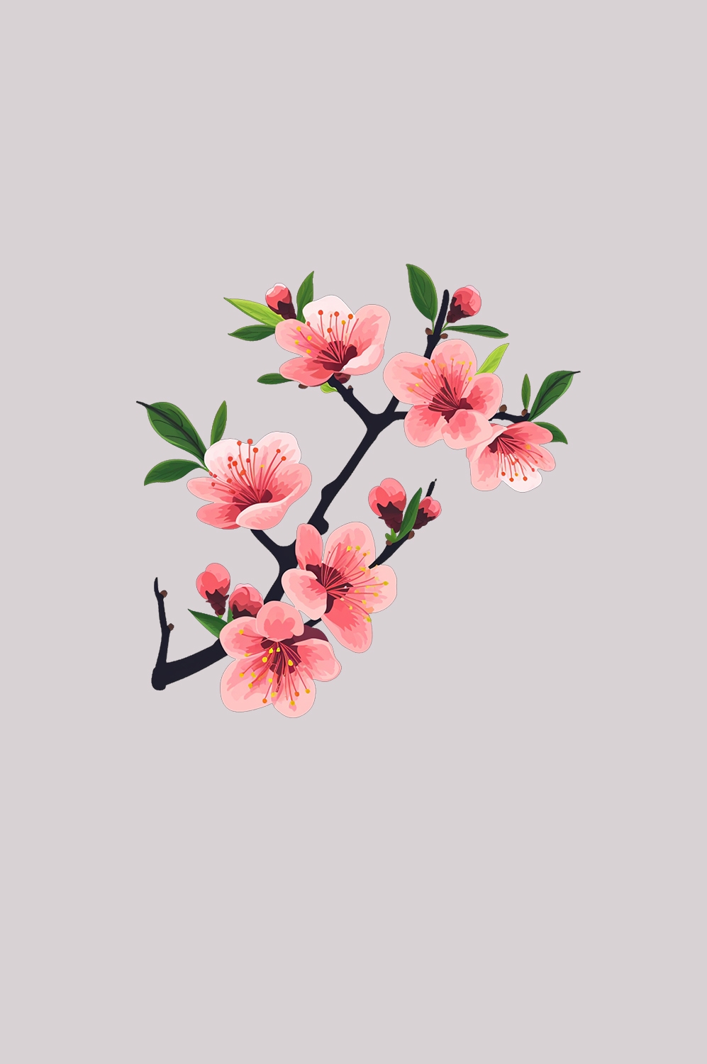 桃花素材图中国风海报设计桃树花枝透明背景84