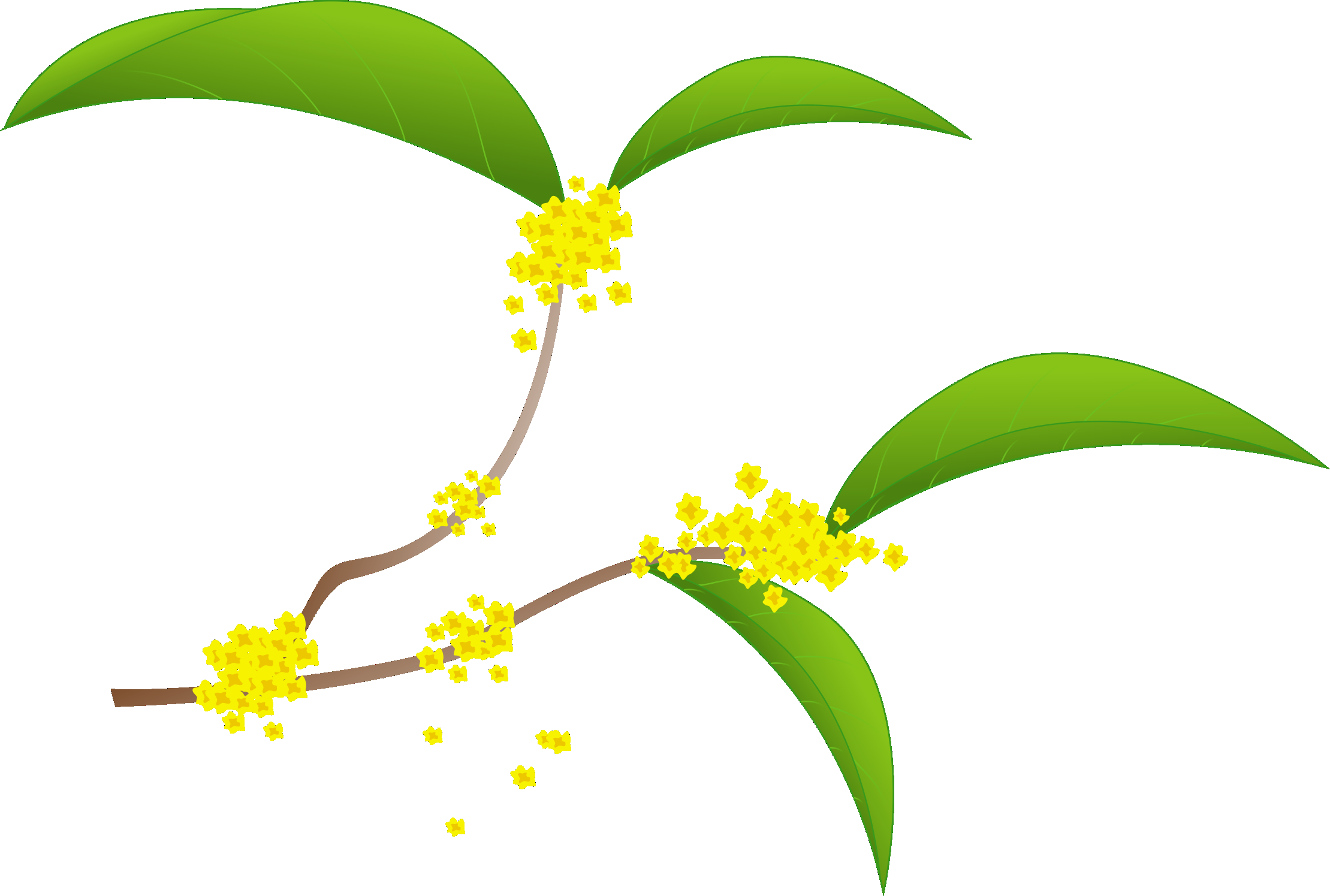 卡通手绘桂花花枝图案素材元素9