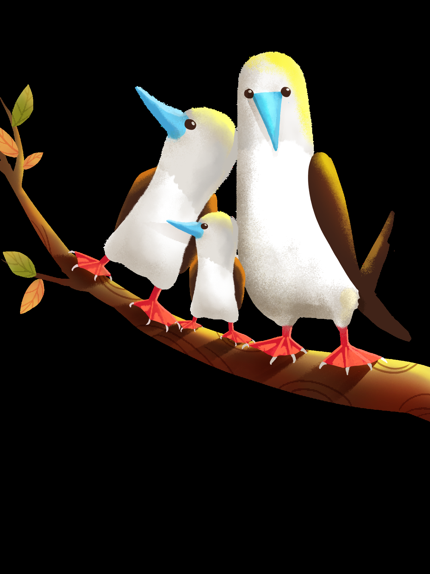 水彩手绘小鸟树枝花枝上的小鸟插画素材免抠47