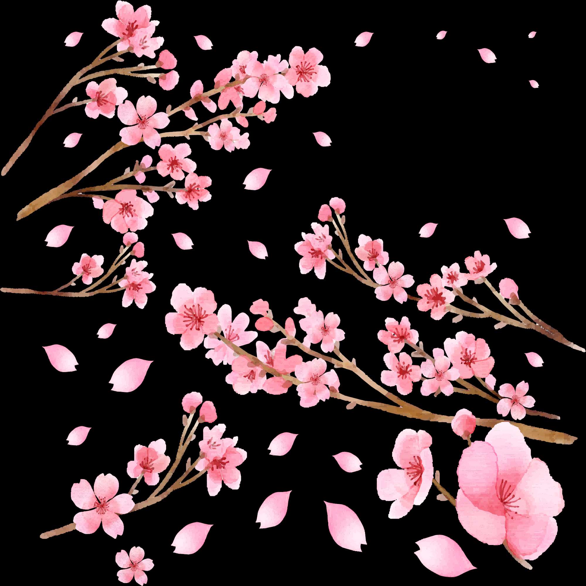 桃花素材图中国风海报设计桃树花枝透明背景62