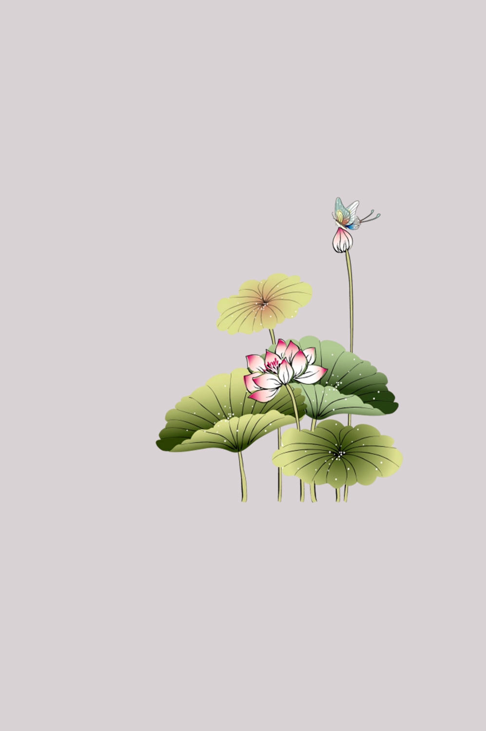 荷叶荷花素材插画装饰元素透明背景免抠素材42