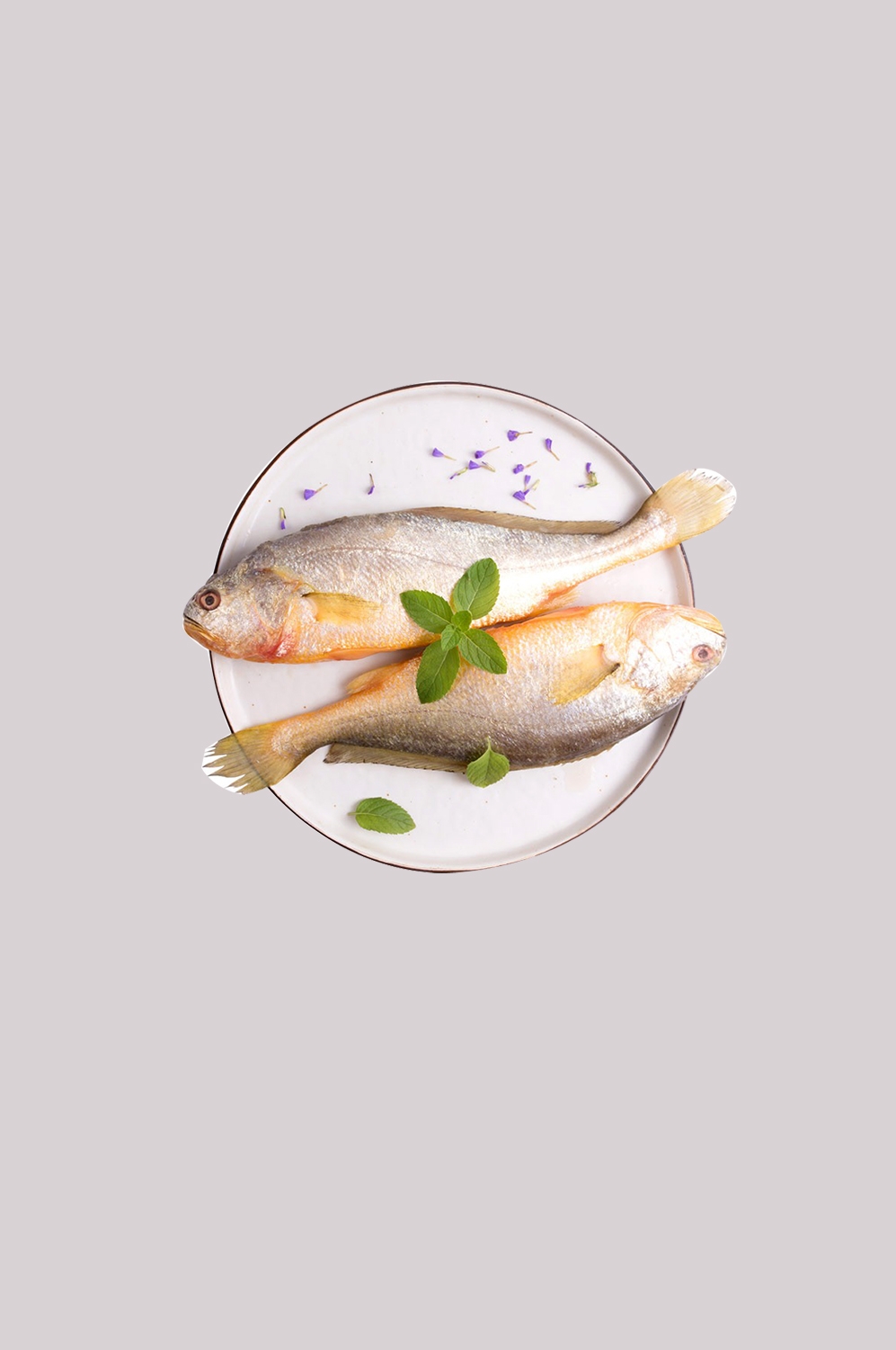 海鲜食材带鱼黄鱼素材图片元素插图免抠36