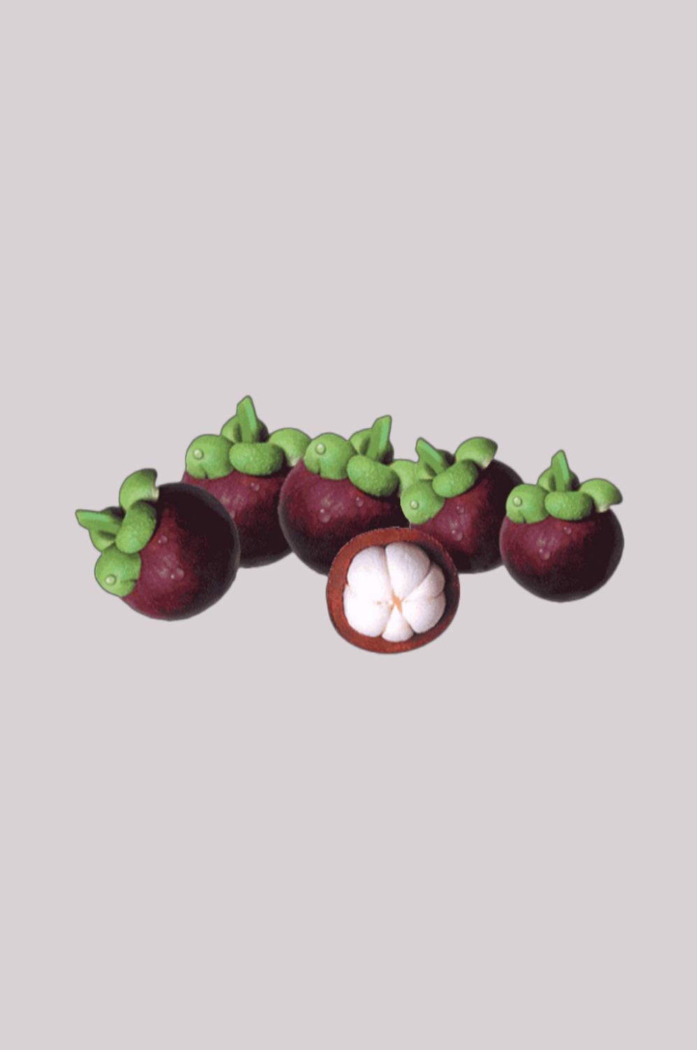 水果山竹图片插画装饰元素免抠元素 (42)