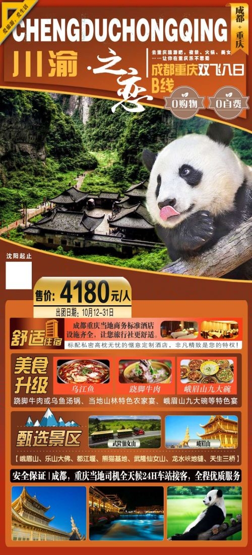四川成都九寨沟武隆峨眉山都江堰三星堆大熊猫旅游海报14