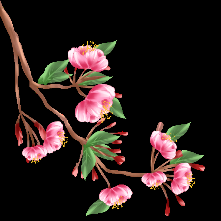 海棠花免抠元素装饰图案插画4