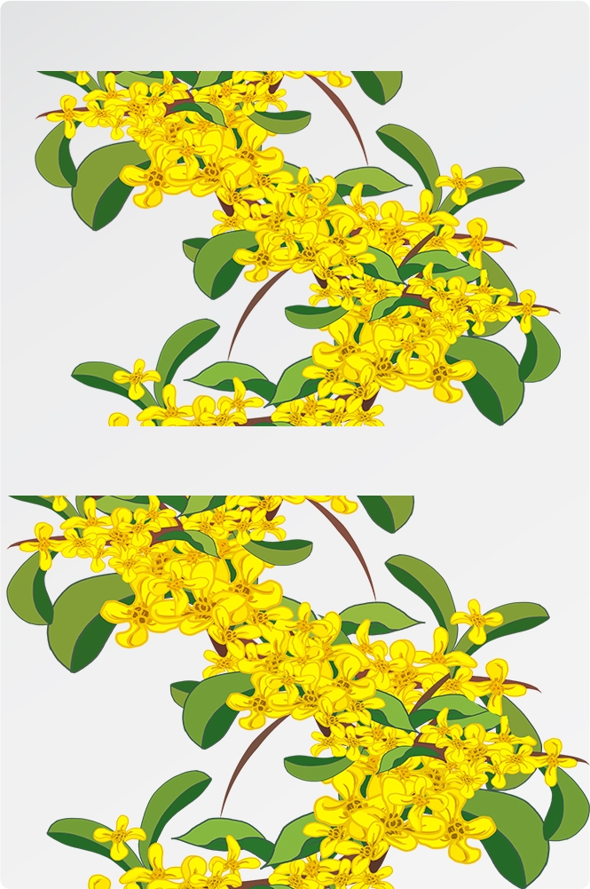 卡通手绘桂花花枝图案素材元素42