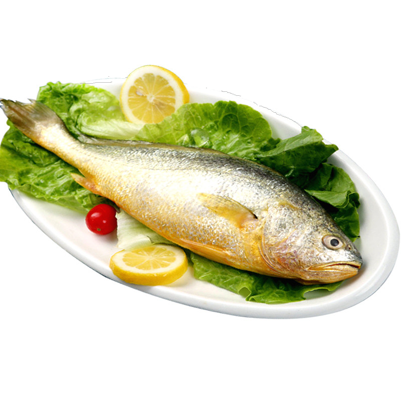 海鲜食材带鱼黄鱼素材图片元素插图免抠29
