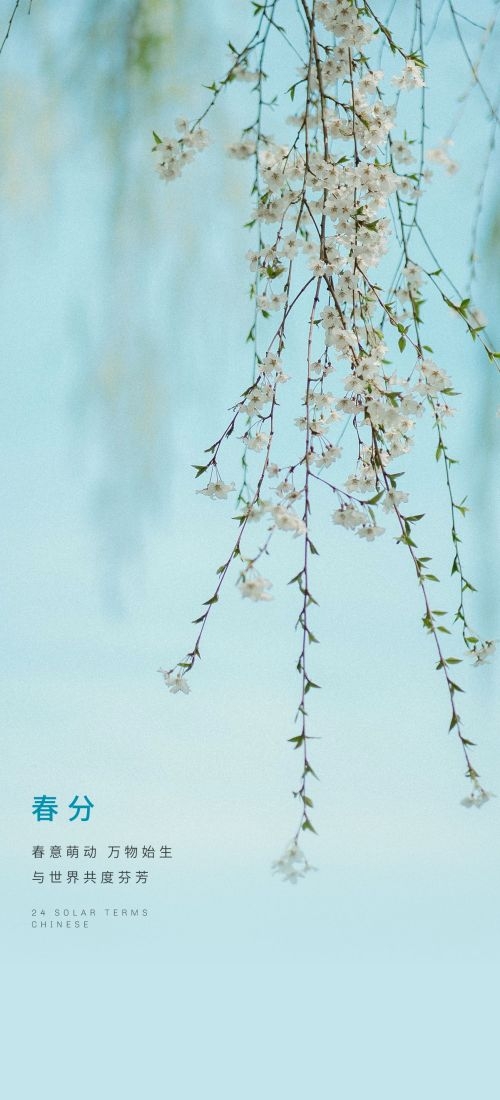 春分时令节气节日促销宣传插画背景海报11