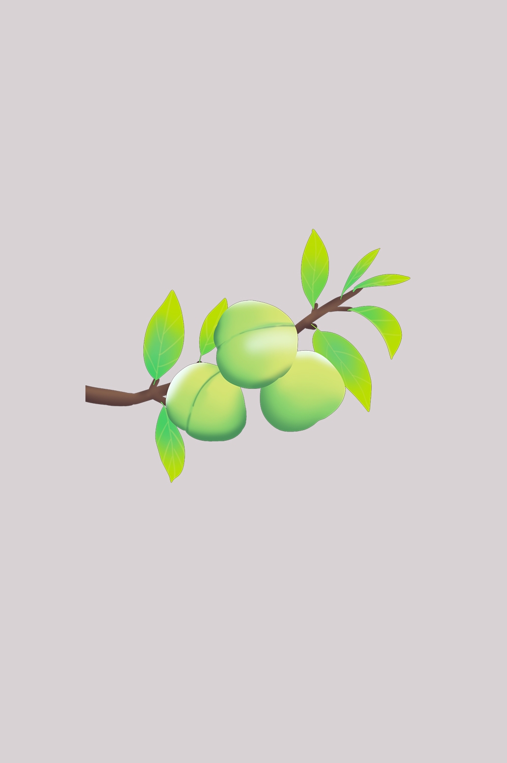 卡通手绘水果青梅图案素材图片装饰插画免抠3