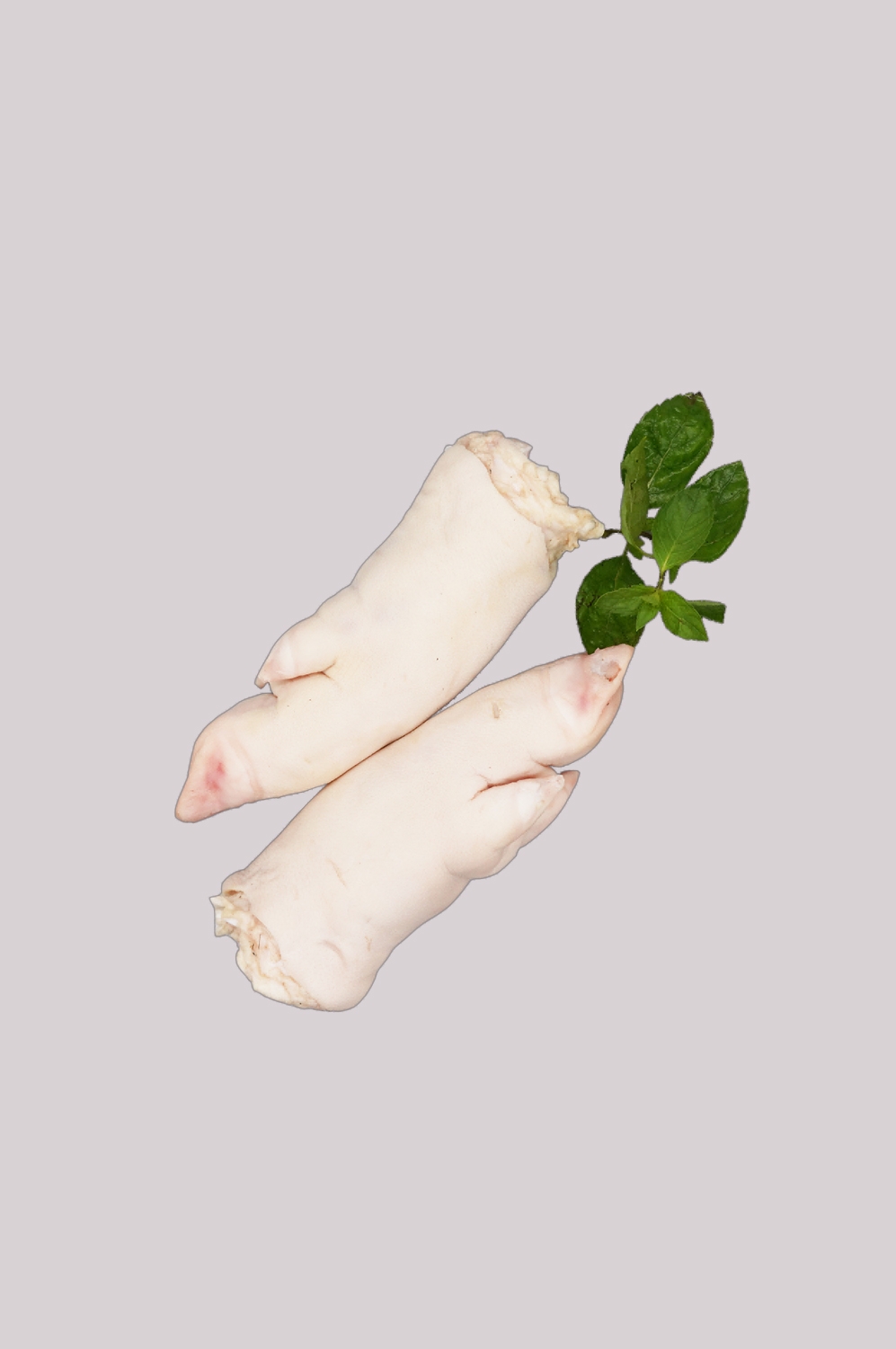 猪蹄图片食材生主题烤主题卤猪蹄图案素材免抠2