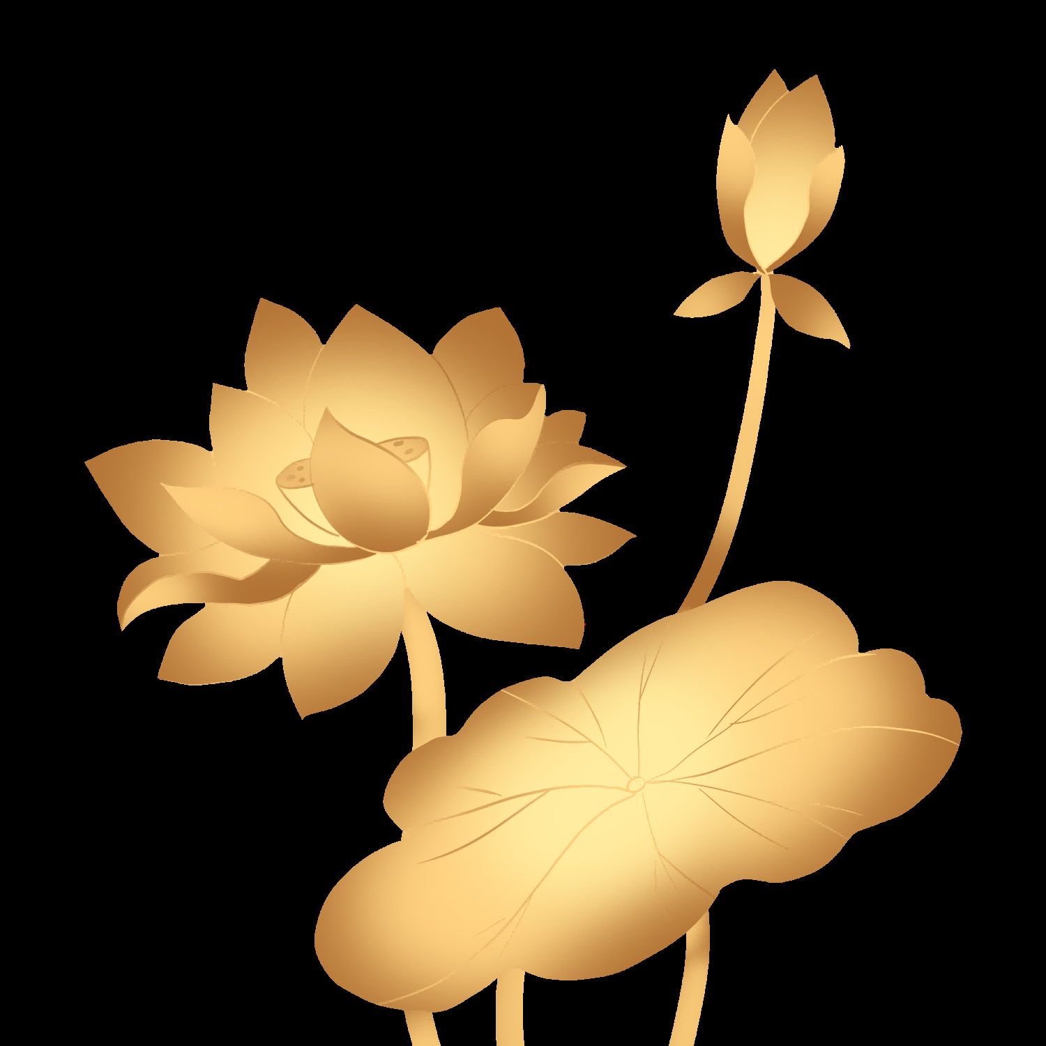 金色莲花装饰元素免抠素材23