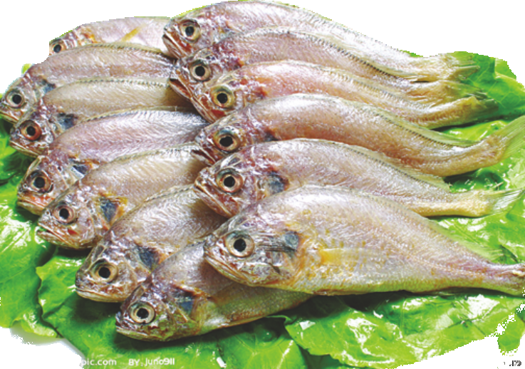 海鲜食材带鱼黄鱼素材图片元素插图免抠43