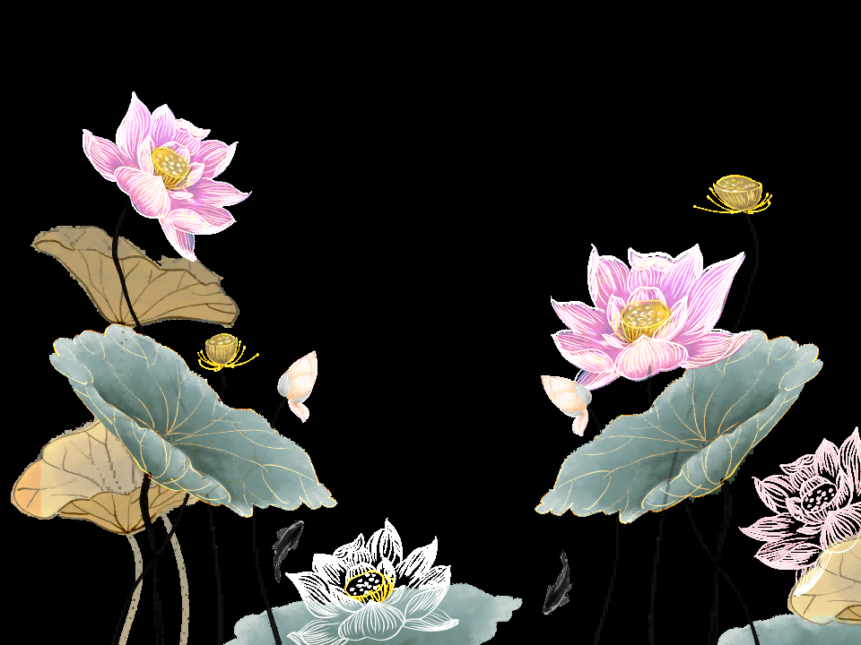 荷叶荷花素材插画装饰元素透明背景免抠素材30