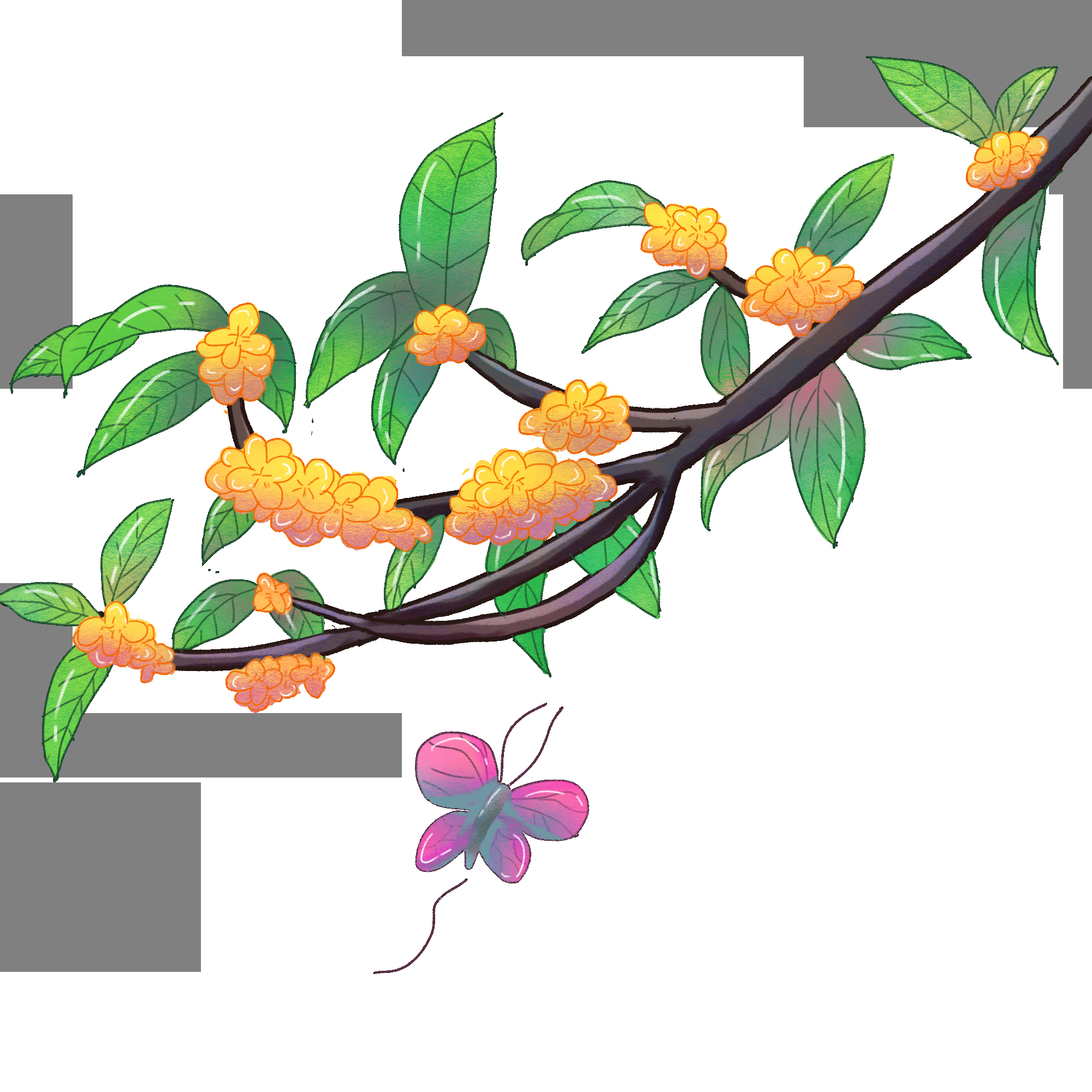 卡通手绘桂花花枝图案素材元素43