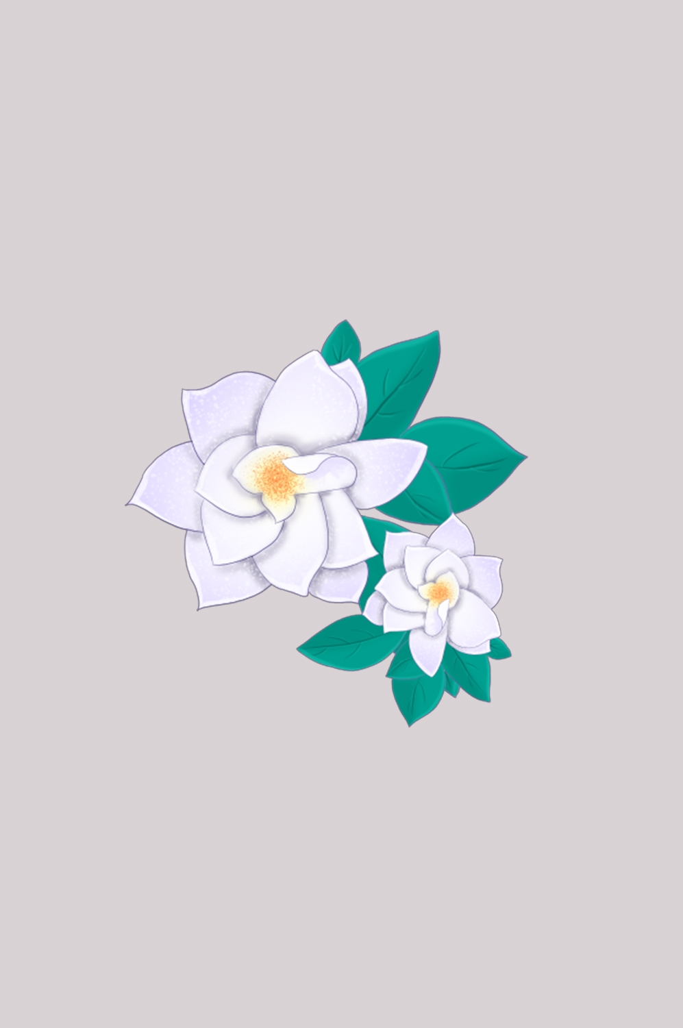 清新淡雅栀子花朵图片素材免抠元素16
