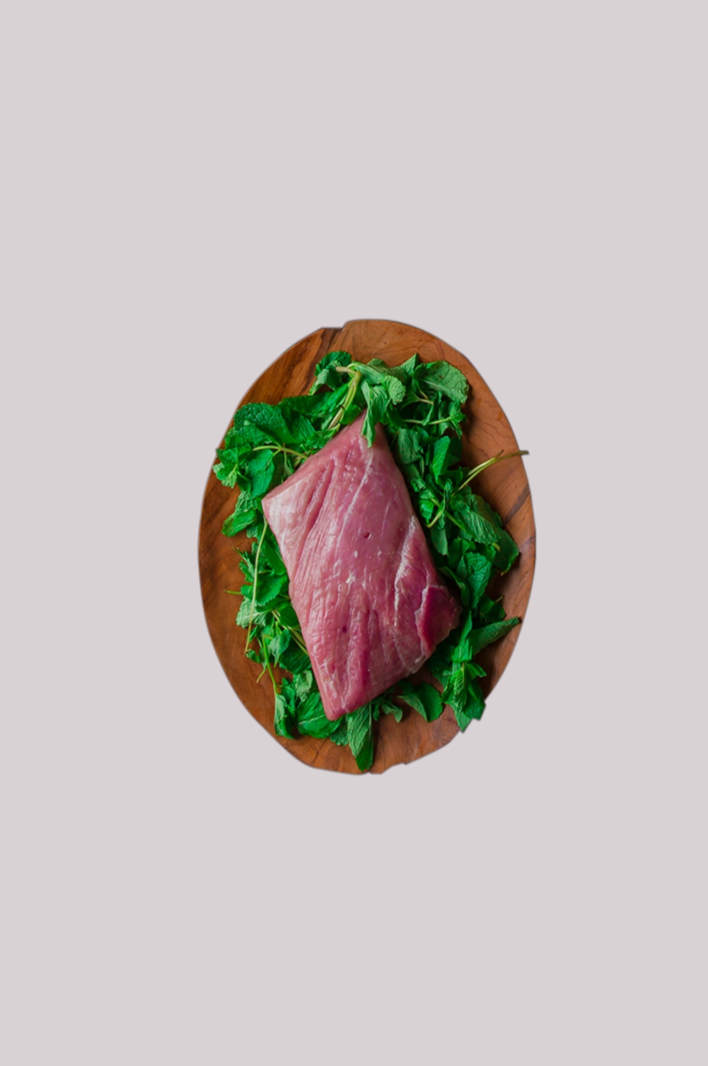 猪肉五花肉瘦肉排骨插画元素免抠素材55