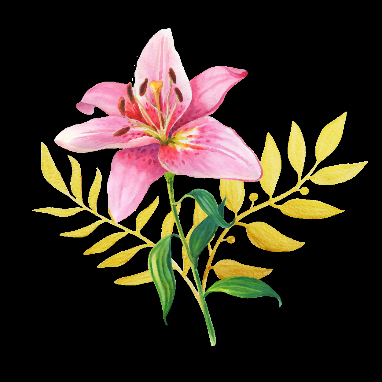 百合花免抠素材24