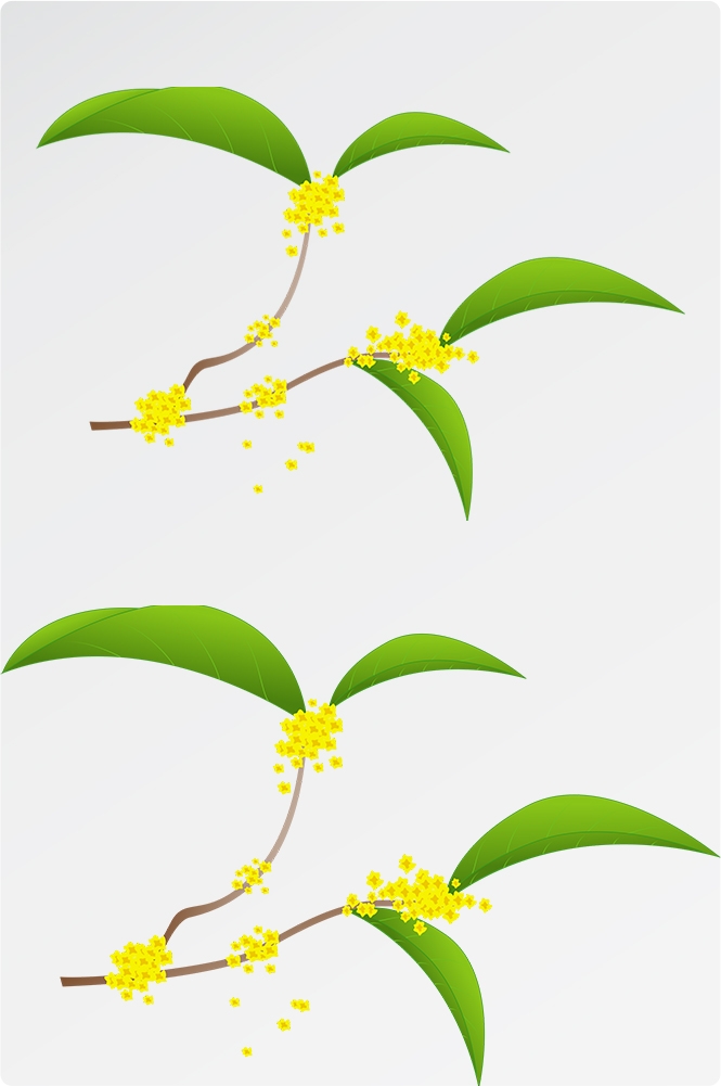 卡通手绘桂花花枝图案素材元素9