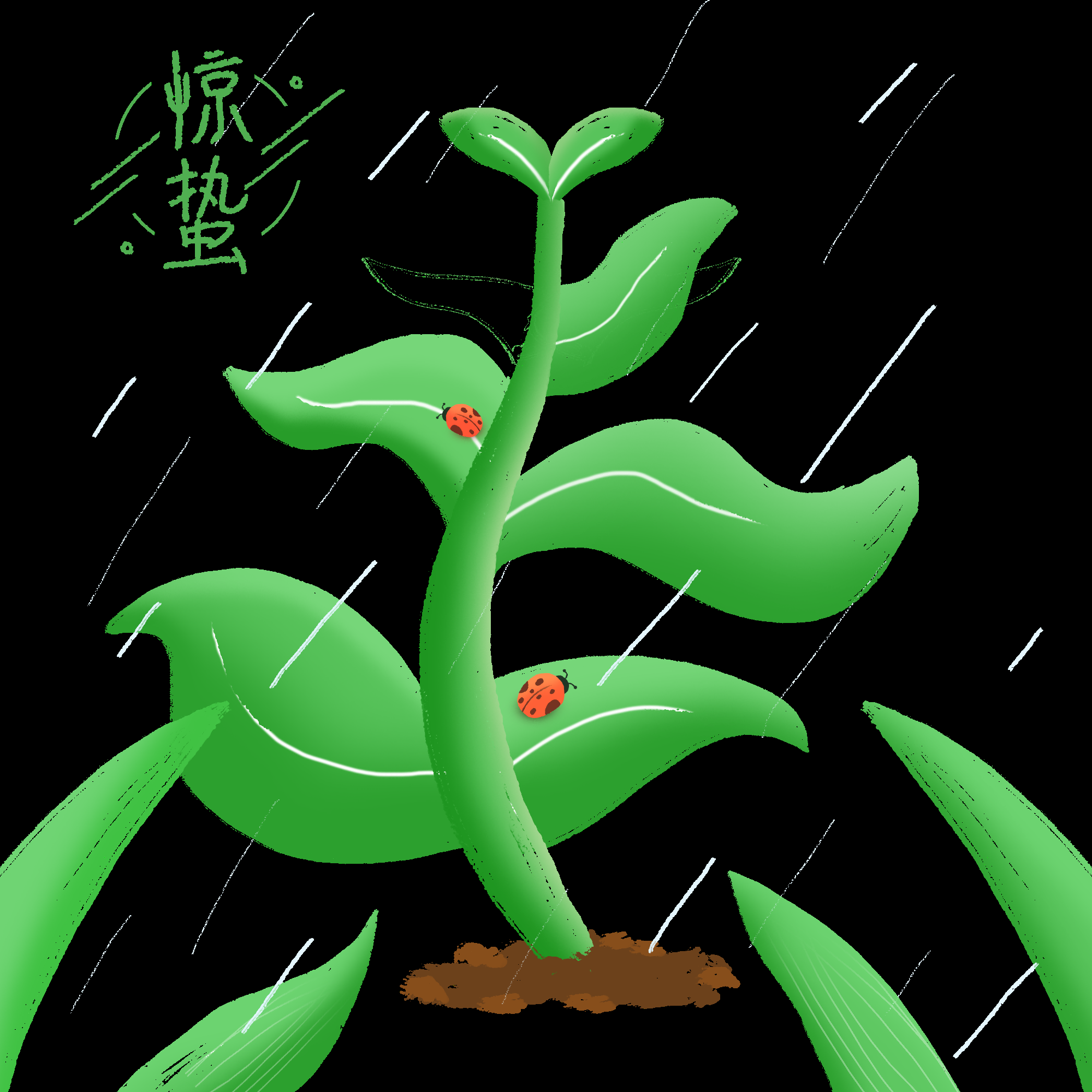 节气惊蛰插画图案素材装饰元素透明背景免抠16