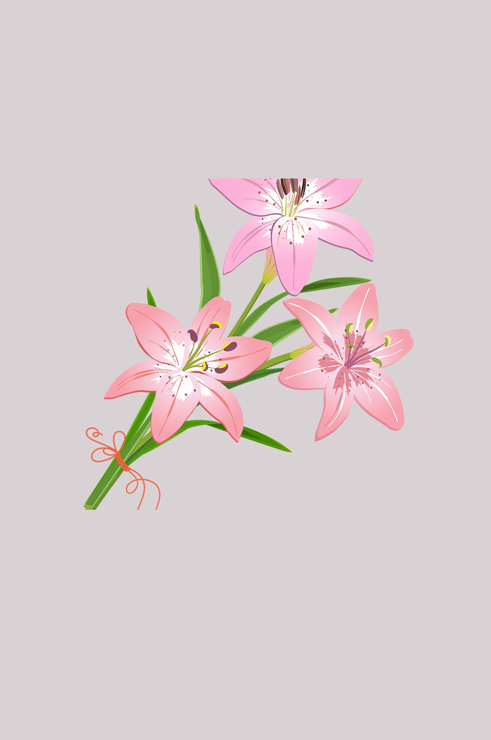 百合花免抠素材39