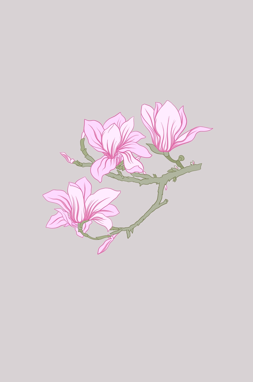 手绘淡雅玉兰花枝花朵装饰元素插图免抠素材7